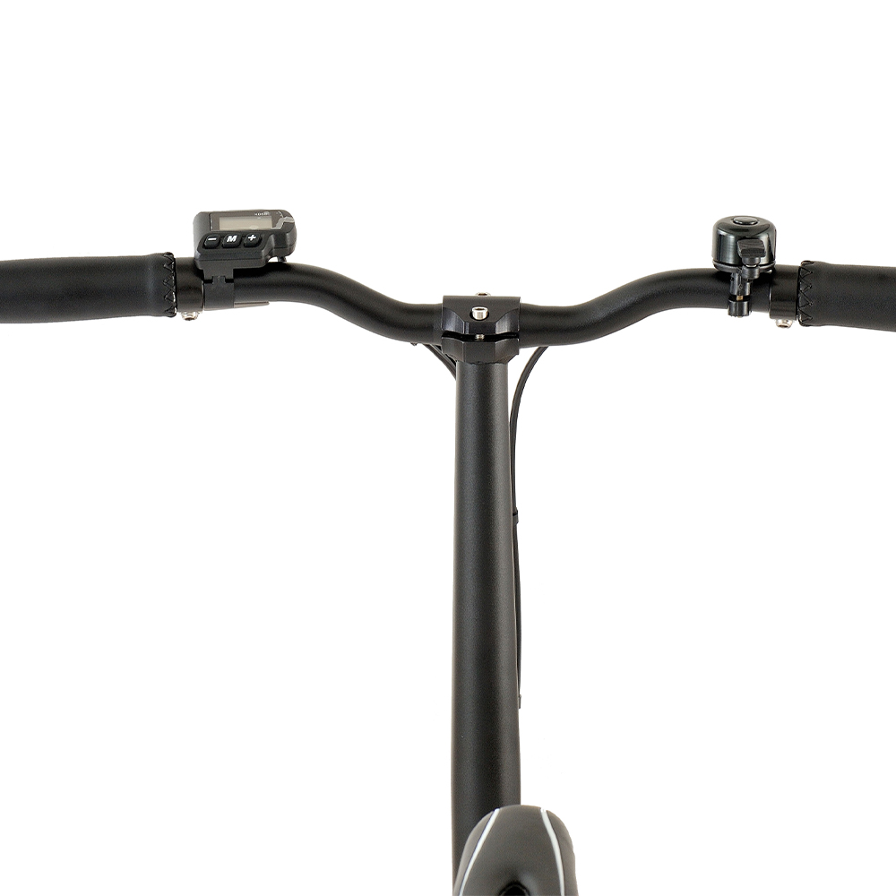 Bicicleta plegable eléctrica CF-TDR04Z de 14 pulgadas 