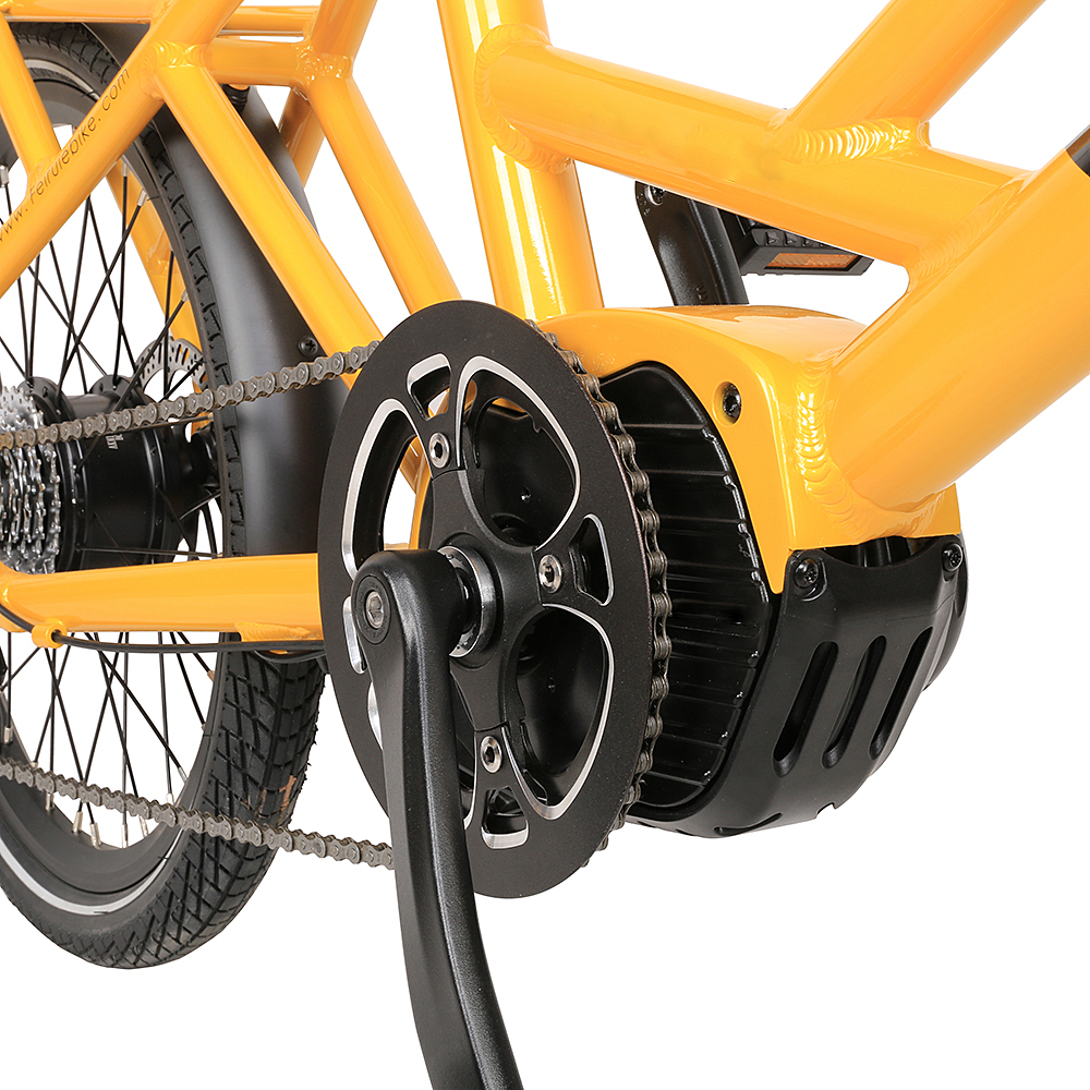 Bicicleta de carga CF-ECC02 de 20 pulgadas